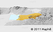 Physical Panoramic Map of Bunyaruguru, lighten, desaturated