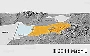 Political Panoramic Map of Bunyaruguru, desaturated