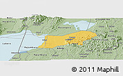 Savanna Style Panoramic Map of Bunyaruguru