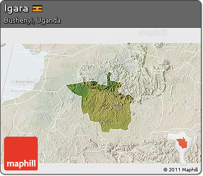 Satellite 3D Map of Igara, lighten