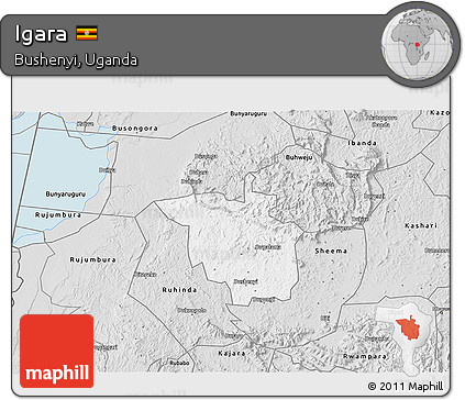 Silver Style 3D Map of Igara