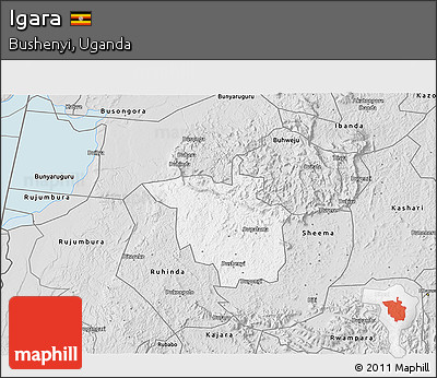 Silver Style 3D Map of Igara