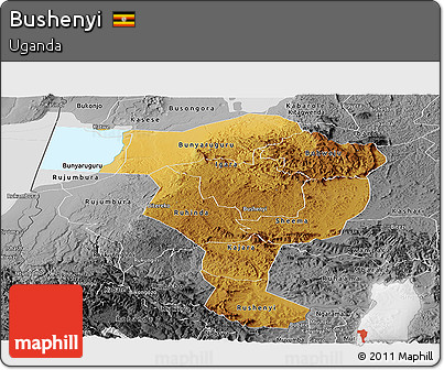 Physical Panoramic Map of Bushenyi, desaturated