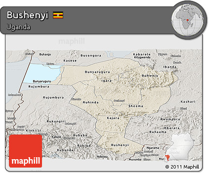 Shaded Relief Panoramic Map of Bushenyi, semi-desaturated