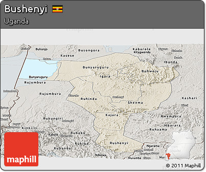 Shaded Relief Panoramic Map of Bushenyi, semi-desaturated