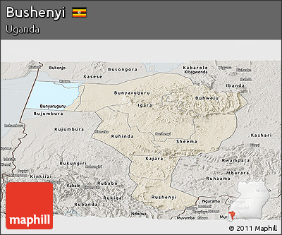 Shaded Relief Panoramic Map of Bushenyi, semi-desaturated