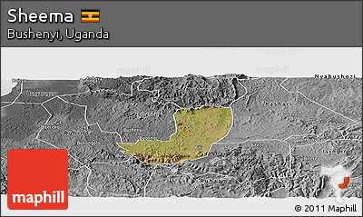 Satellite Panoramic Map of Sheema, desaturated
