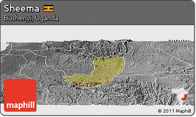 Satellite Panoramic Map of Sheema, desaturated