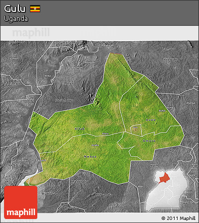 Satellite 3D Map of Gulu, desaturated
