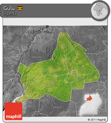 Satellite 3D Map of Gulu, desaturated