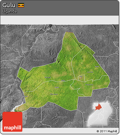 Satellite 3D Map of Gulu, desaturated