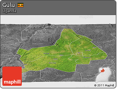 Satellite Panoramic Map of Gulu, desaturated