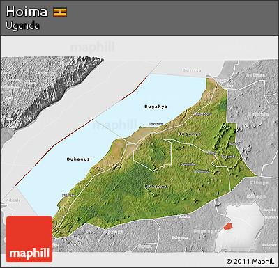 Satellite 3D Map of Hoima, lighten, desaturated