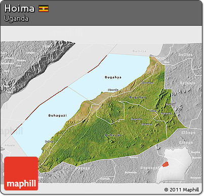 Satellite 3D Map of Hoima, lighten, desaturated