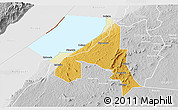 Physical 3D Map of Bugahya, lighten, desaturated