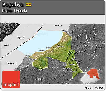 Satellite 3D Map of Bugahya, desaturated
