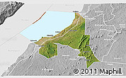 Satellite 3D Map of Bugahya, lighten, desaturated