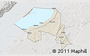Shaded Relief 3D Map of Bugahya, lighten, semi-desaturated