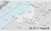 Silver Style 3D Map of Bugahya