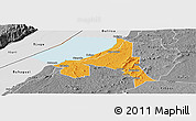 Political Panoramic Map of Bugahya, desaturated