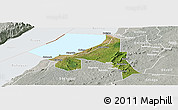Satellite Panoramic Map of Bugahya, lighten, semi-desaturated