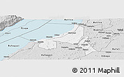 Silver Style Panoramic Map of Bugahya