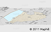 Shaded Relief Panoramic Map of Buhaguzi, desaturated