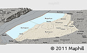 Shaded Relief Panoramic Map of Hoima, darken, semi-desaturated