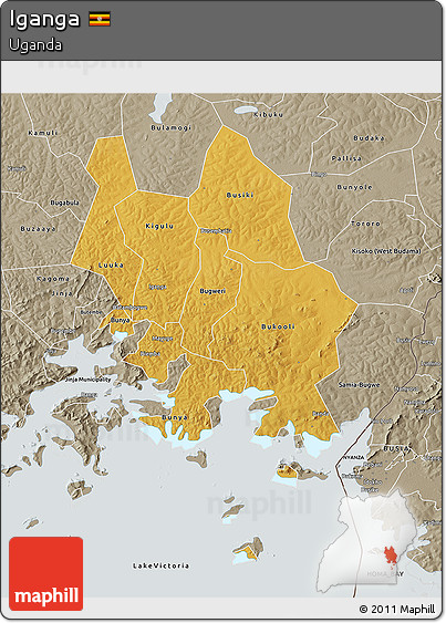 Physical 3D Map of Iganga, semi-desaturated
