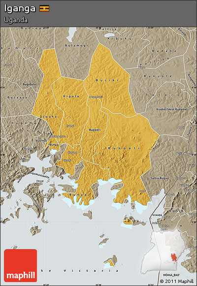 Physical Map of Iganga, semi-desaturated