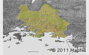 Satellite Panoramic Map of Iganga, desaturated