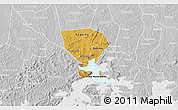 Physical 3D Map of Jinja, lighten, desaturated