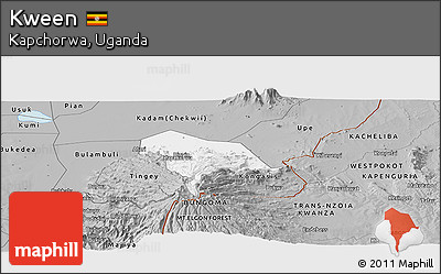 Gray Panoramic Map of Kween