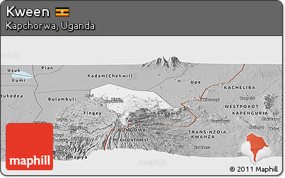 Gray Panoramic Map of Kween
