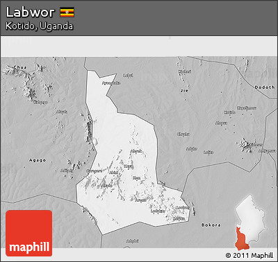 Gray 3D Map of Labwor