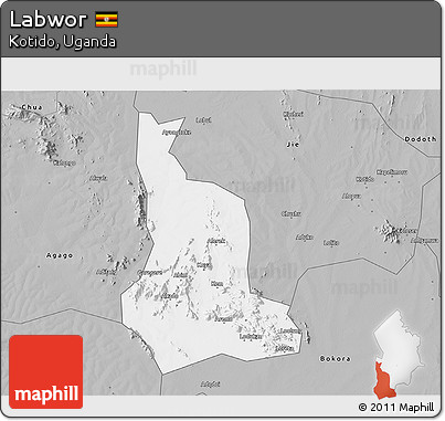 Gray 3D Map of Labwor
