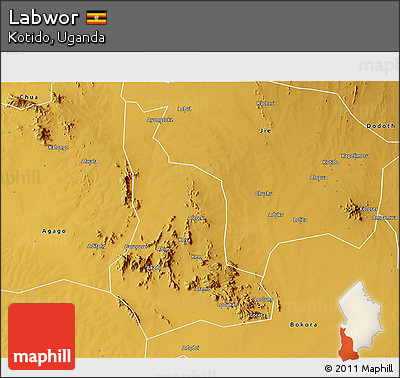 Physical 3D Map of Labwor