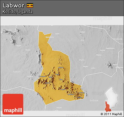 Physical 3D Map of Labwor, lighten, desaturated