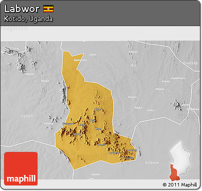 Physical 3D Map of Labwor, lighten, desaturated