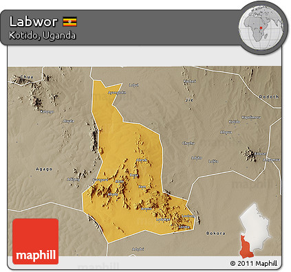 Physical 3D Map of Labwor, semi-desaturated
