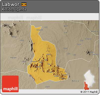 Physical 3D Map of Labwor, semi-desaturated