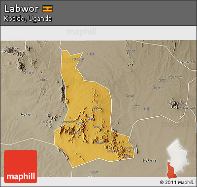 Physical 3D Map of Labwor, semi-desaturated