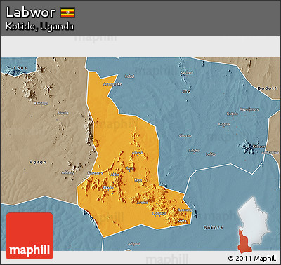 Political 3D Map of Labwor, semi-desaturated