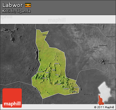 Satellite 3D Map of Labwor, darken, desaturated