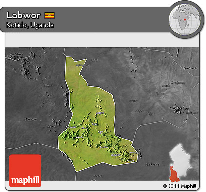 Satellite 3D Map of Labwor, darken, desaturated