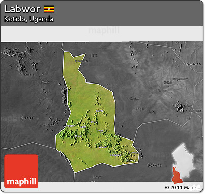 Satellite 3D Map of Labwor, darken, desaturated