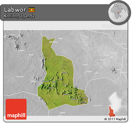 Satellite 3D Map of Labwor, lighten, desaturated