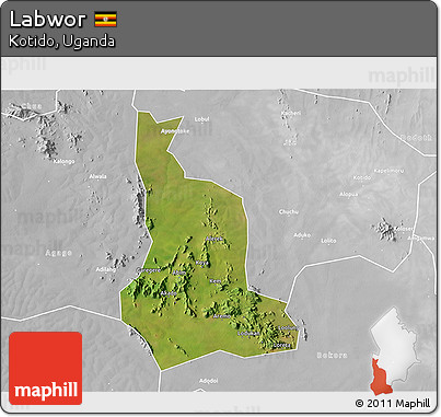 Satellite 3D Map of Labwor, lighten, desaturated