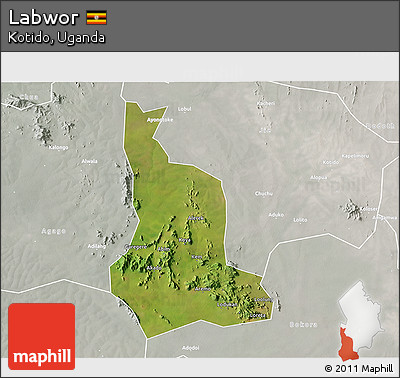 Satellite 3D Map of Labwor, lighten, semi-desaturated