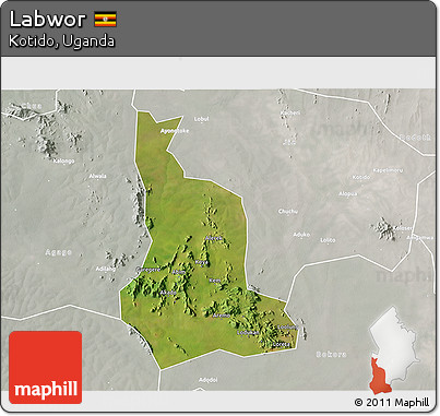 Satellite 3D Map of Labwor, lighten, semi-desaturated